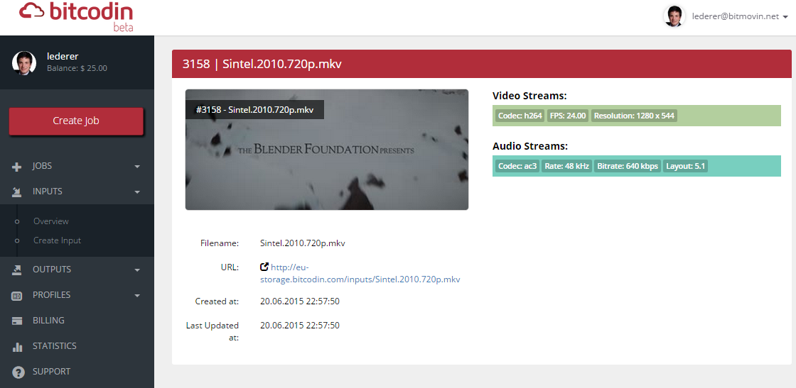 bitcodin Input Details
