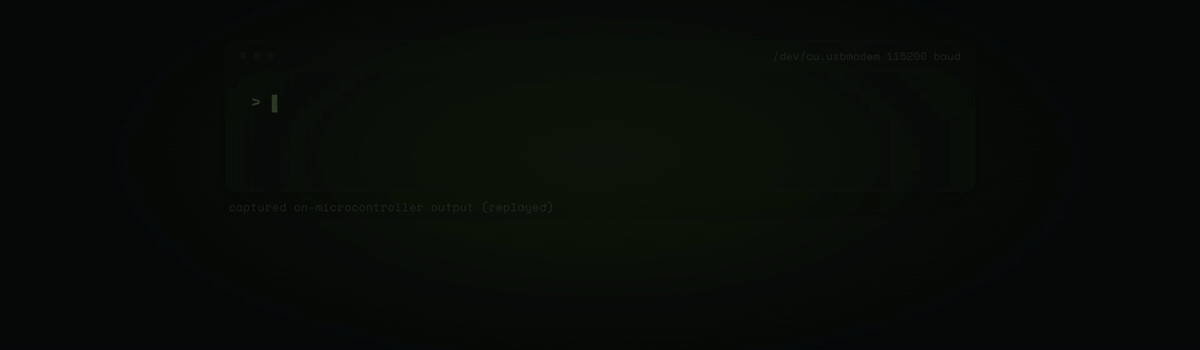 28.9M-parameter LLM running on an ESP32-S3