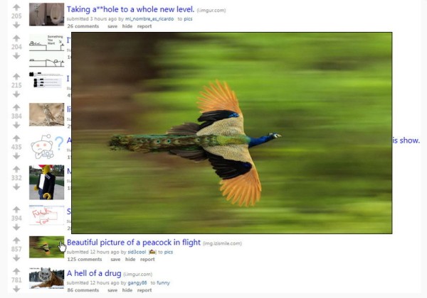 Mouseover Popup Image Viewer