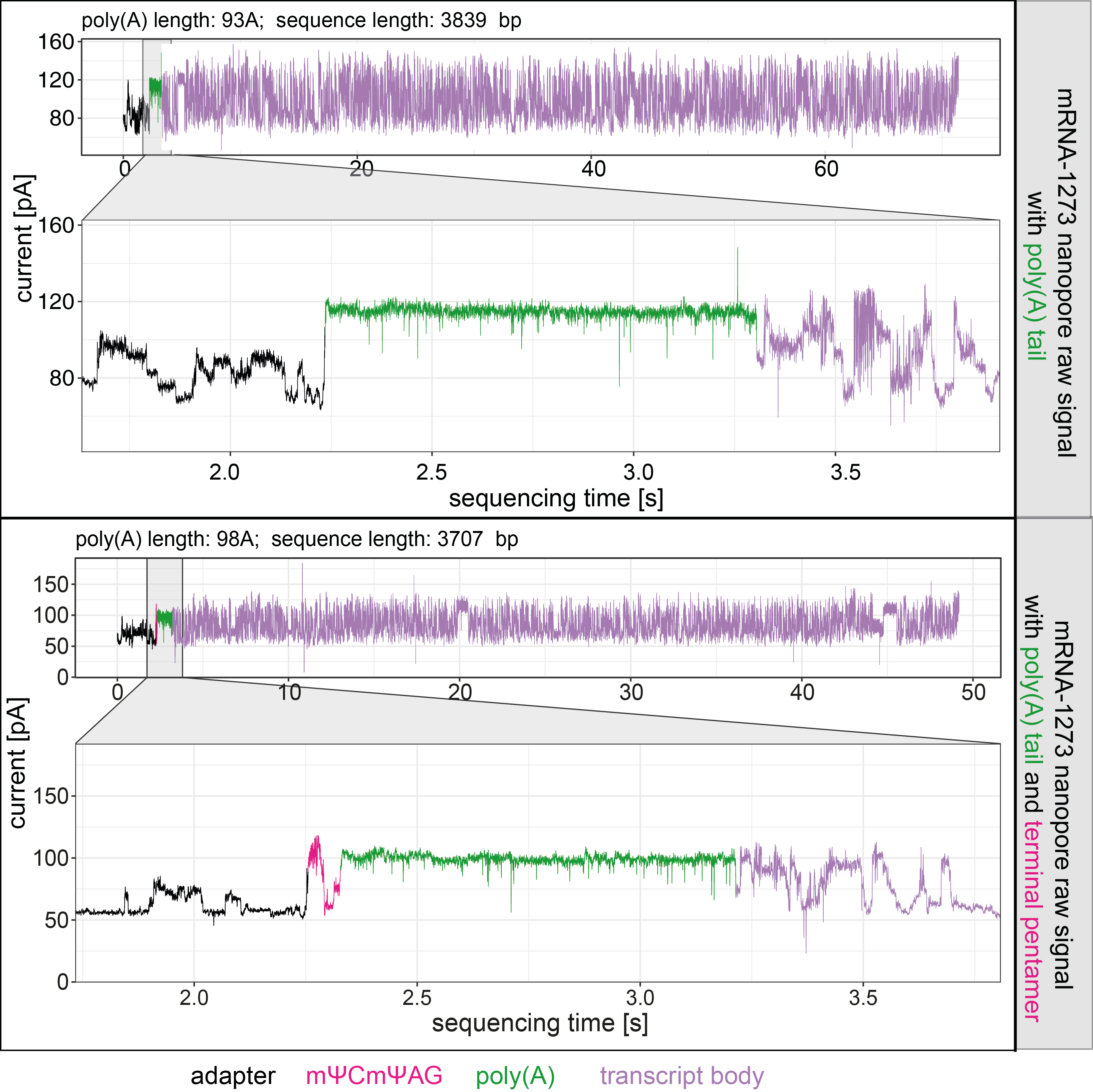 representative raw signal from mRNA-1273 direct RNA sequencing