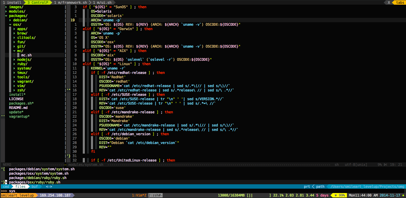 Vim and Tmux in OMG