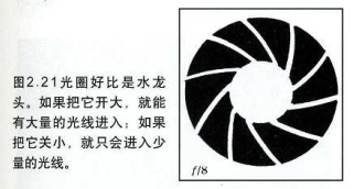 image-20231115170158943