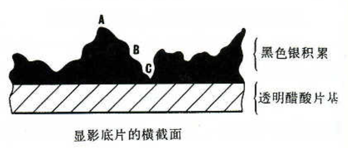 image-20240728194305078