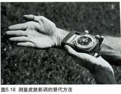 image-20240728201925038