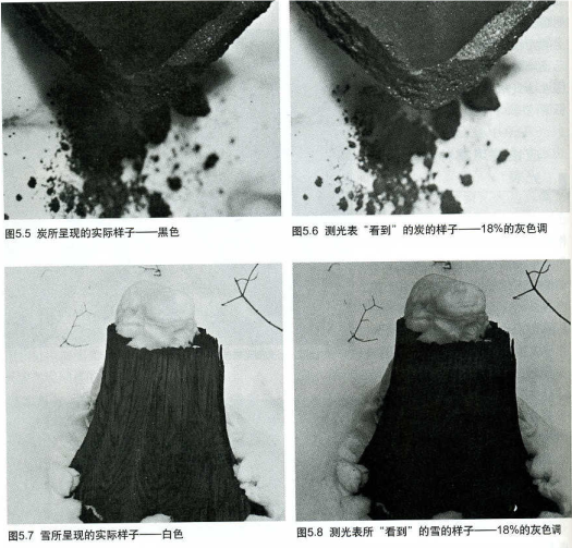 image-20240728195911729
