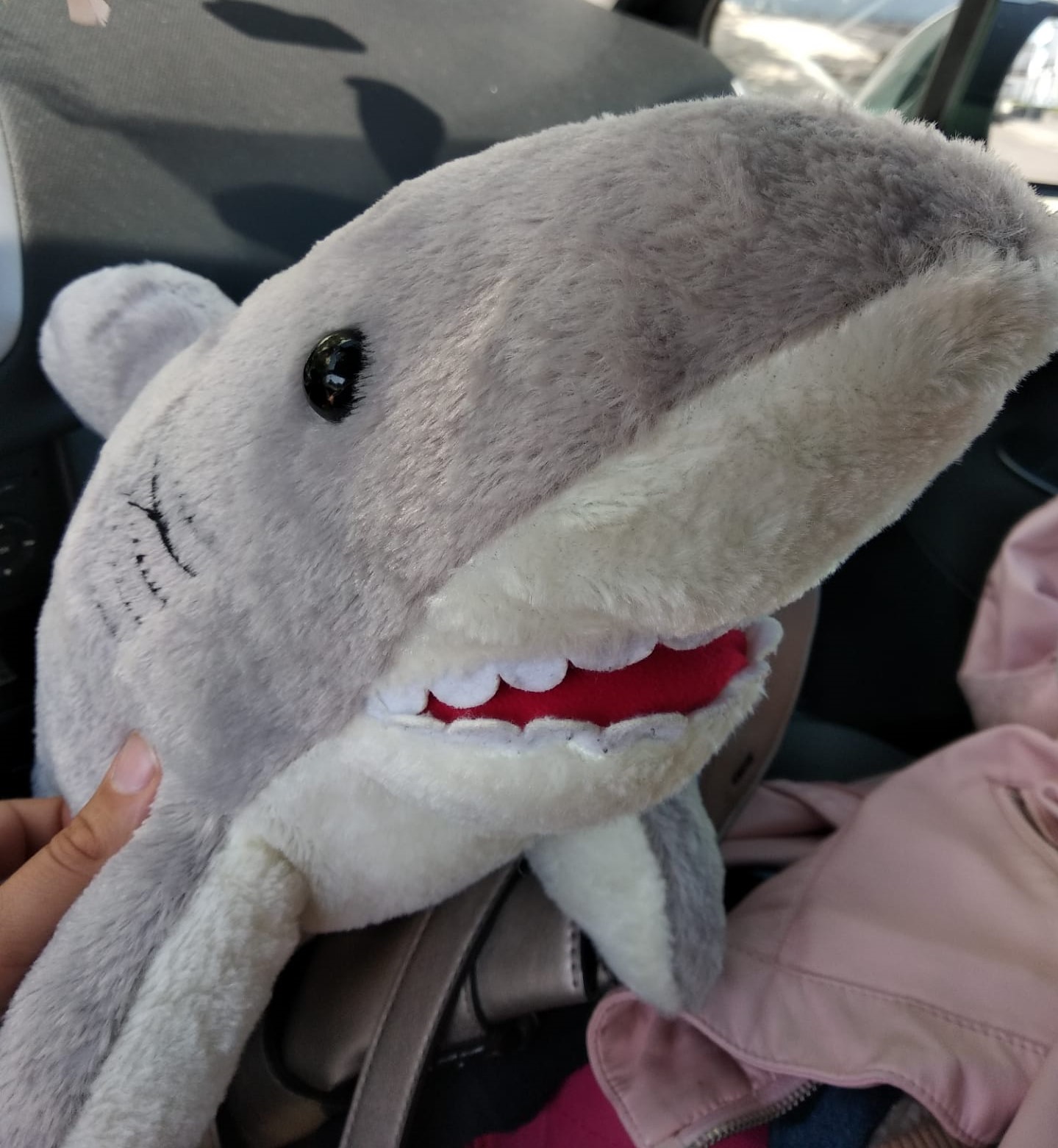 Sharky recovered