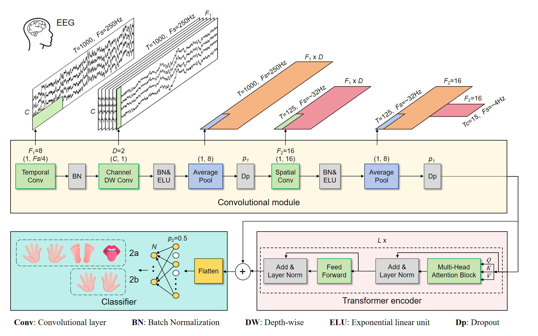 architecture of CTNet