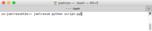 Run Python script from terminal