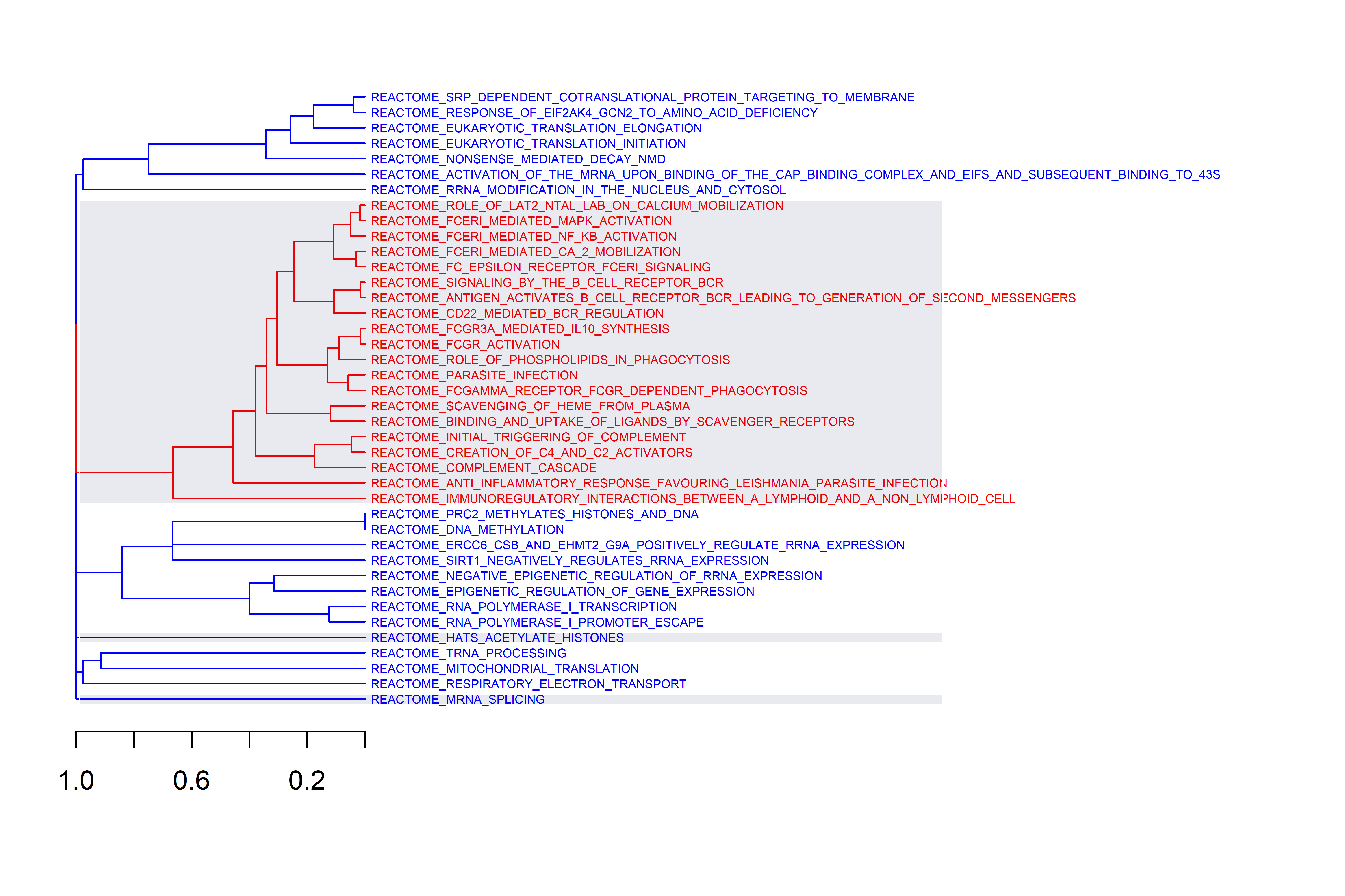 GSEA: Gene sets clustering