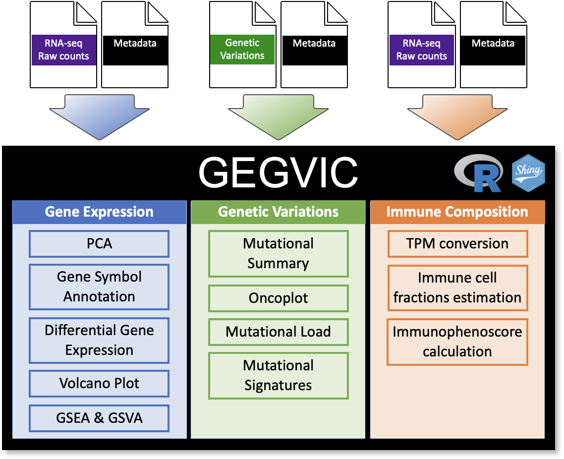 GEGVIC outline