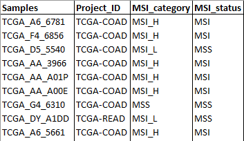 input_metadata