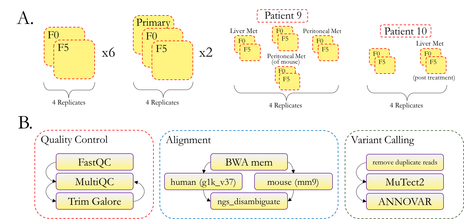 pdx wes flowchart