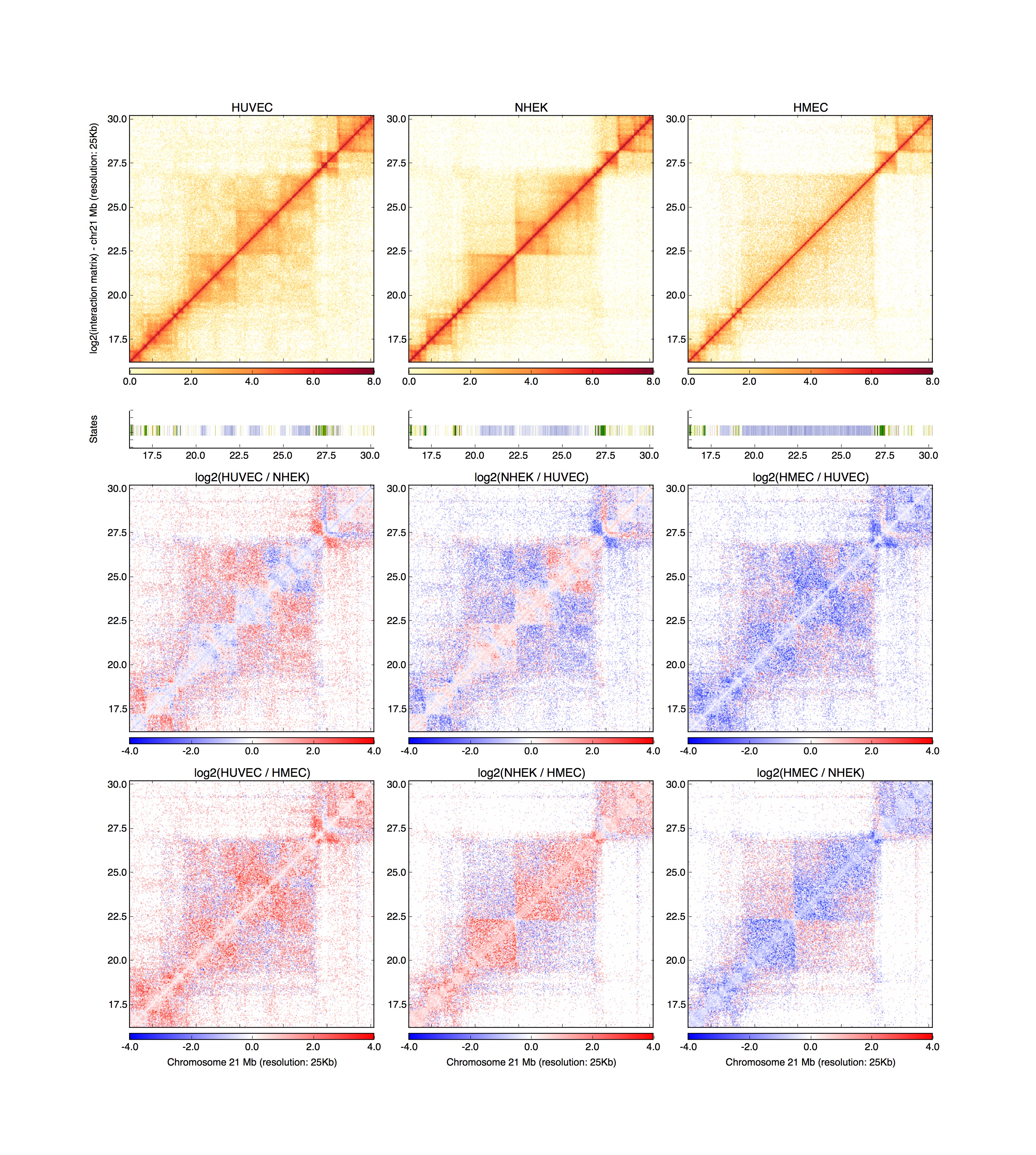 Example plot from HiCPlotter