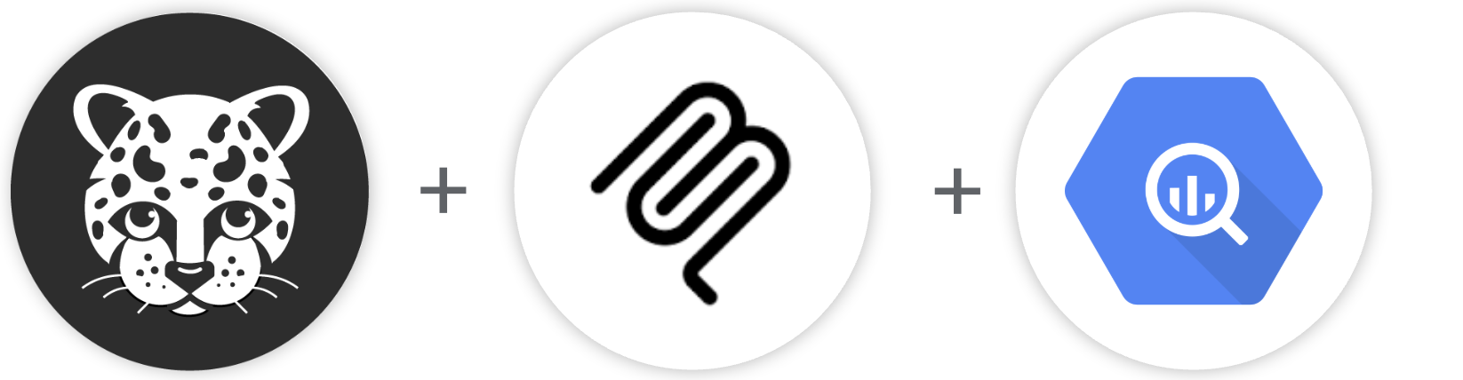 Snow Leopard BigQuery MCP Logo