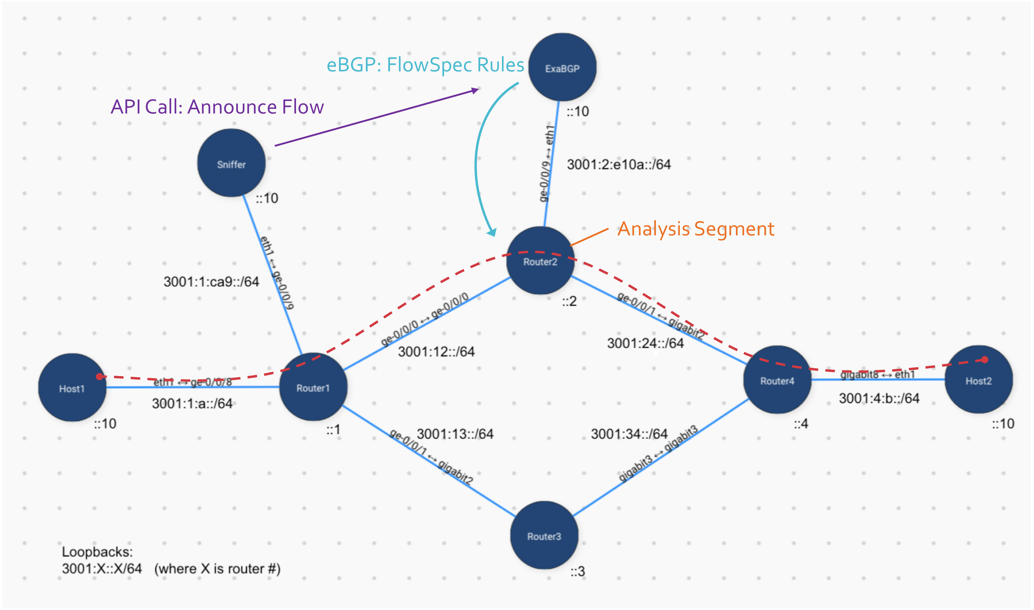 Topology Diagram