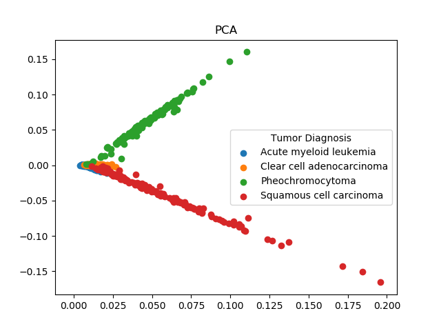 PCA Scatter Plot