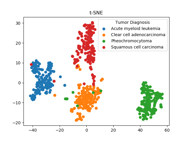 t-SNE Scatter Plot