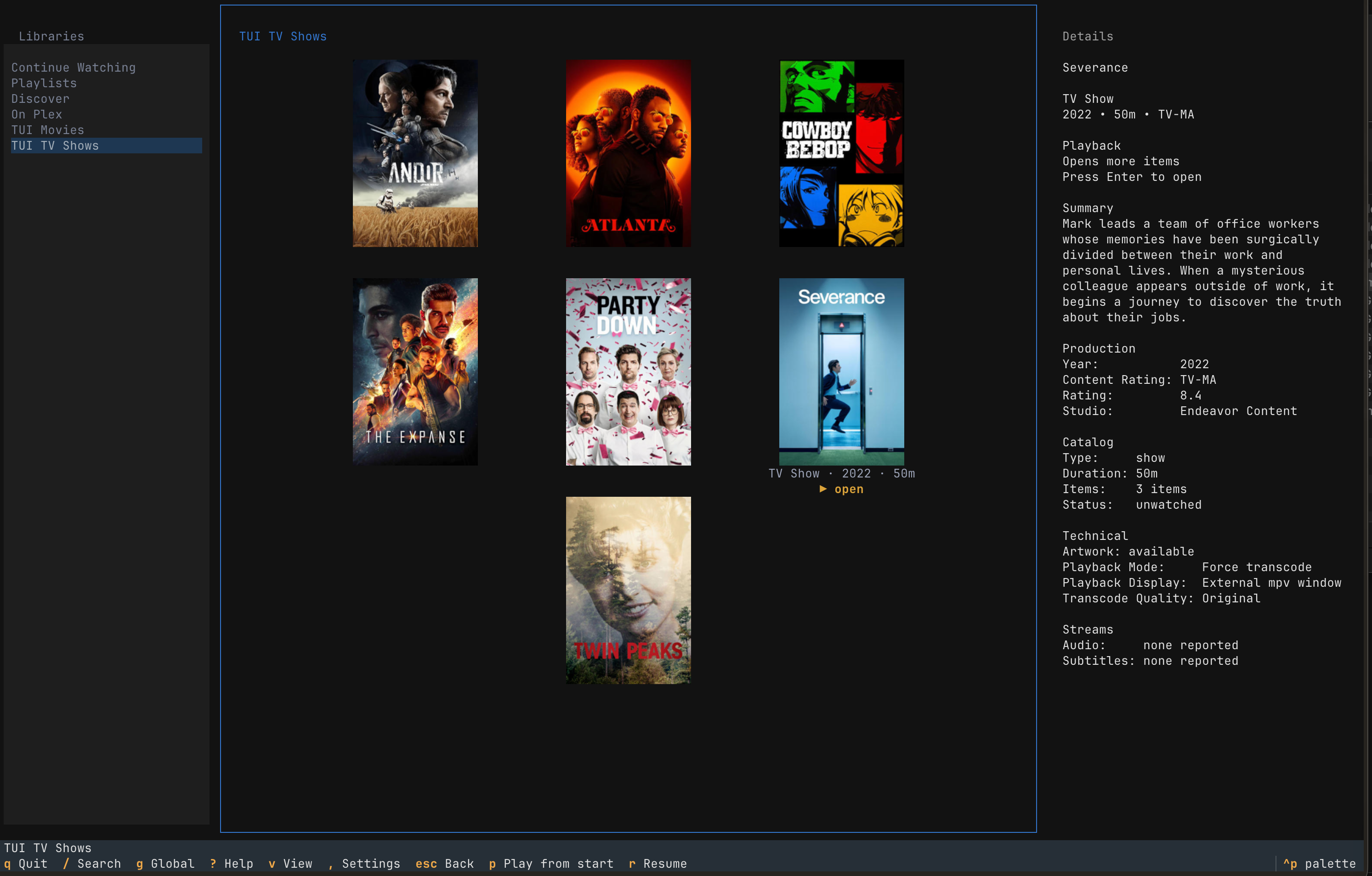 TV show library grid with show posters and selected show details