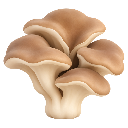 maitake icon