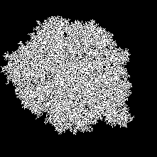 Max lattice size = 1001, k = 0.003125, Pad size = 1, N=14204