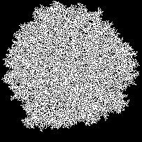 Max lattice size = 205, k = 0.0015625, Pad size = 1