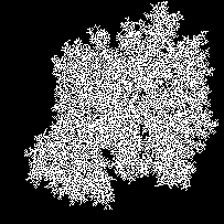Max lattice size = 205, k = 0.00625, Pad size = 1
