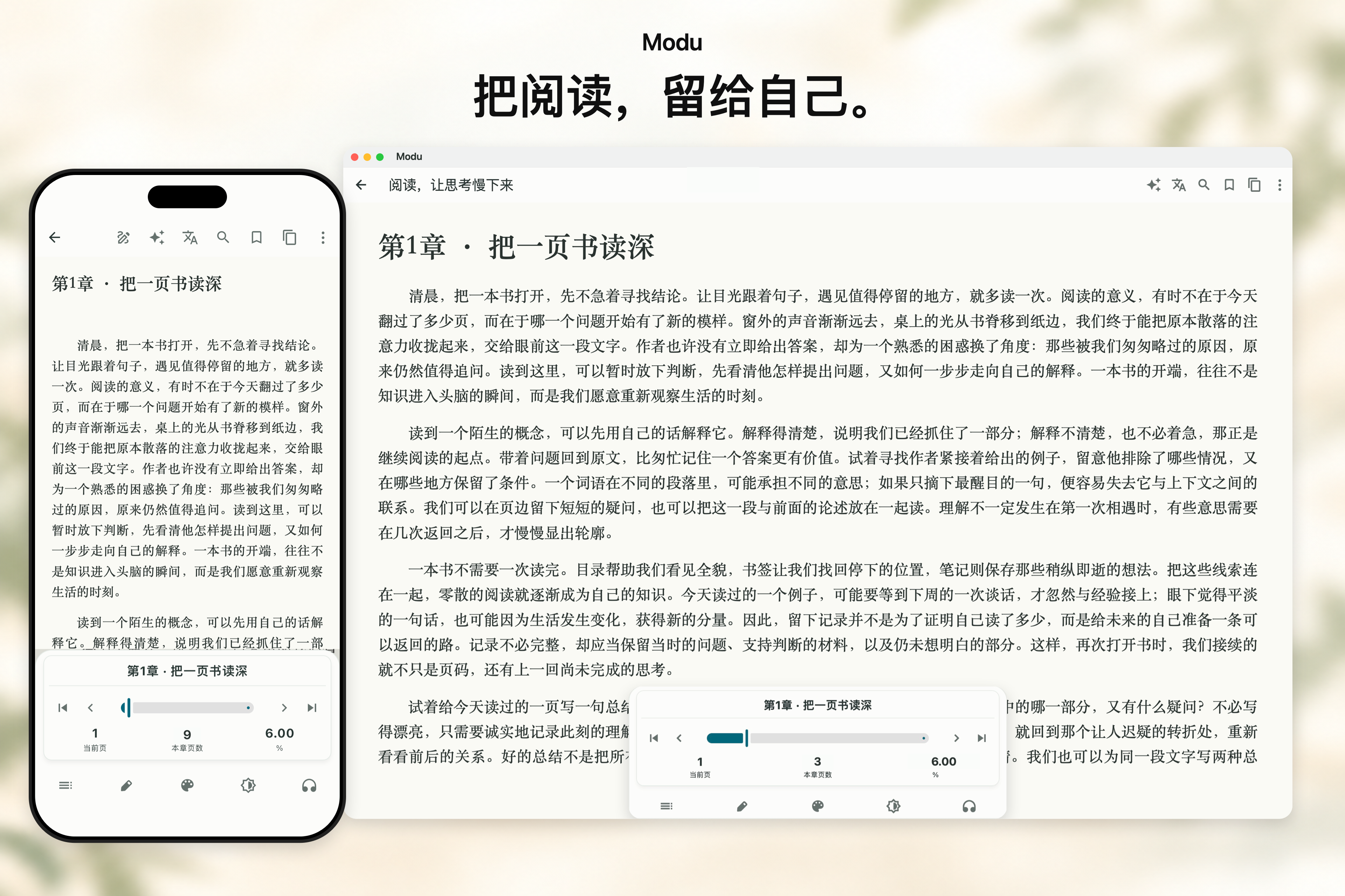 iPhone 与 Mac 单栏阅读及带进度条的阅读菜单
