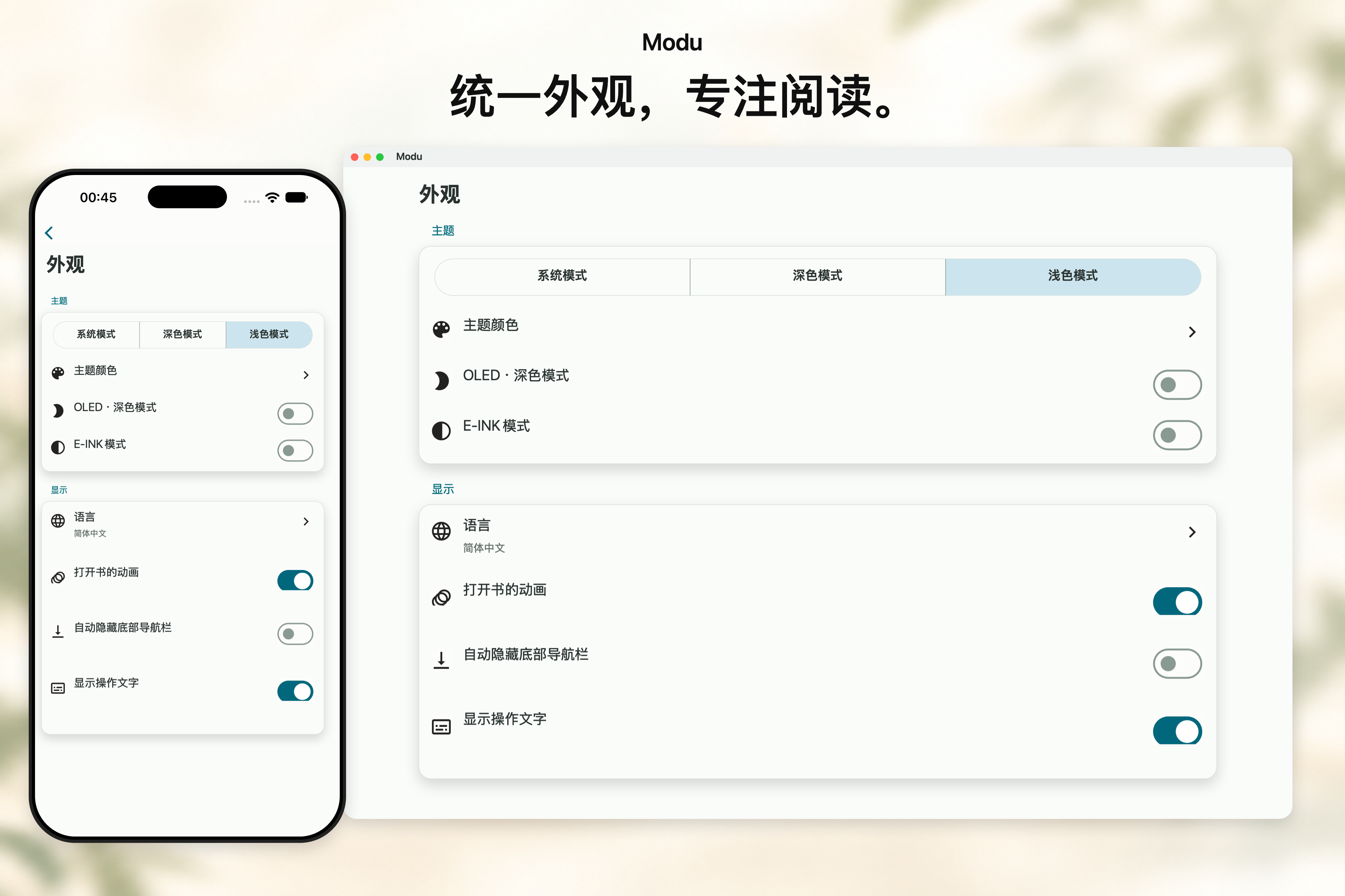新版设置界面与主题布局