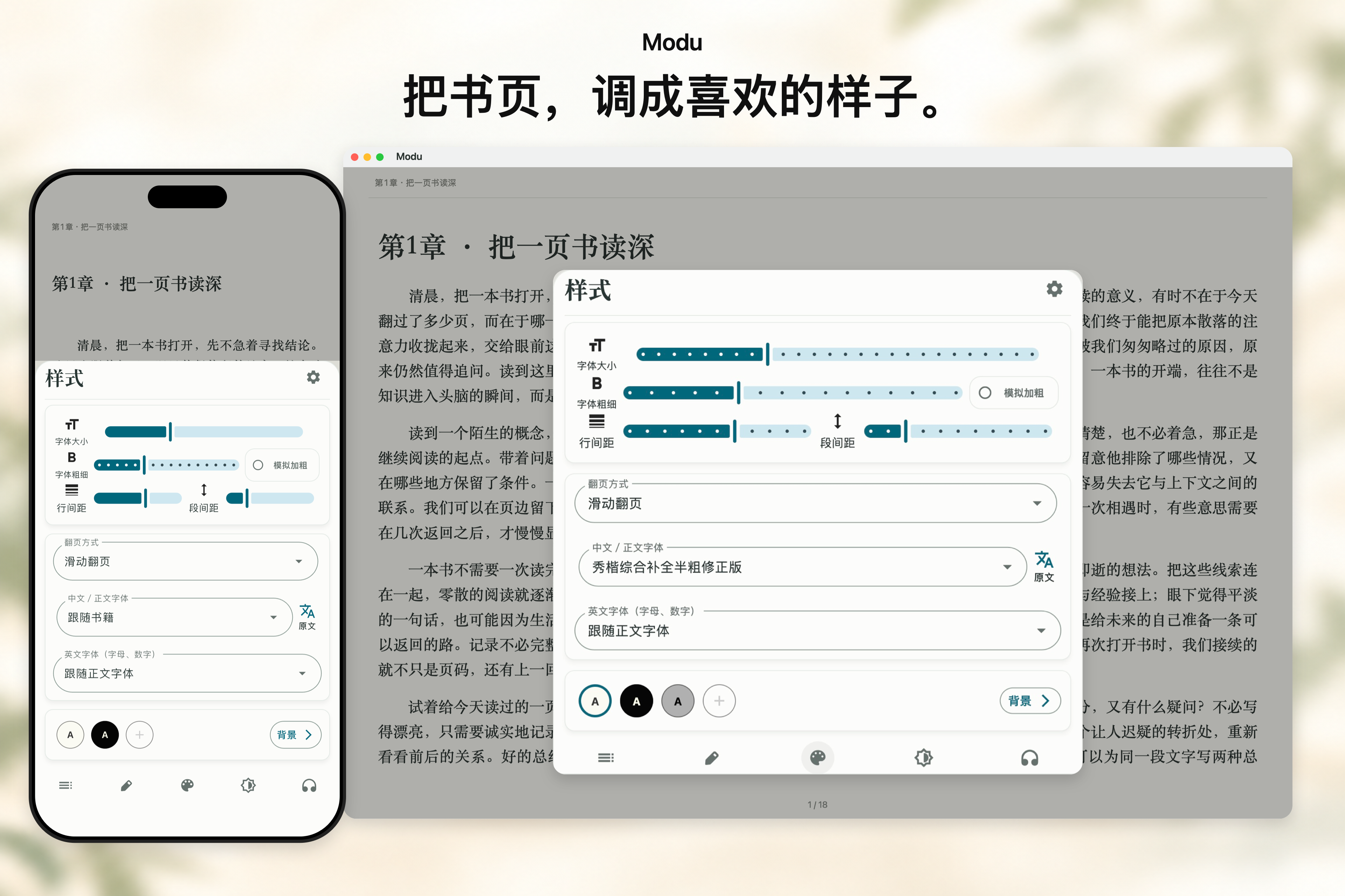 iPhone 与 Mac 阅读页中的实际样式菜单