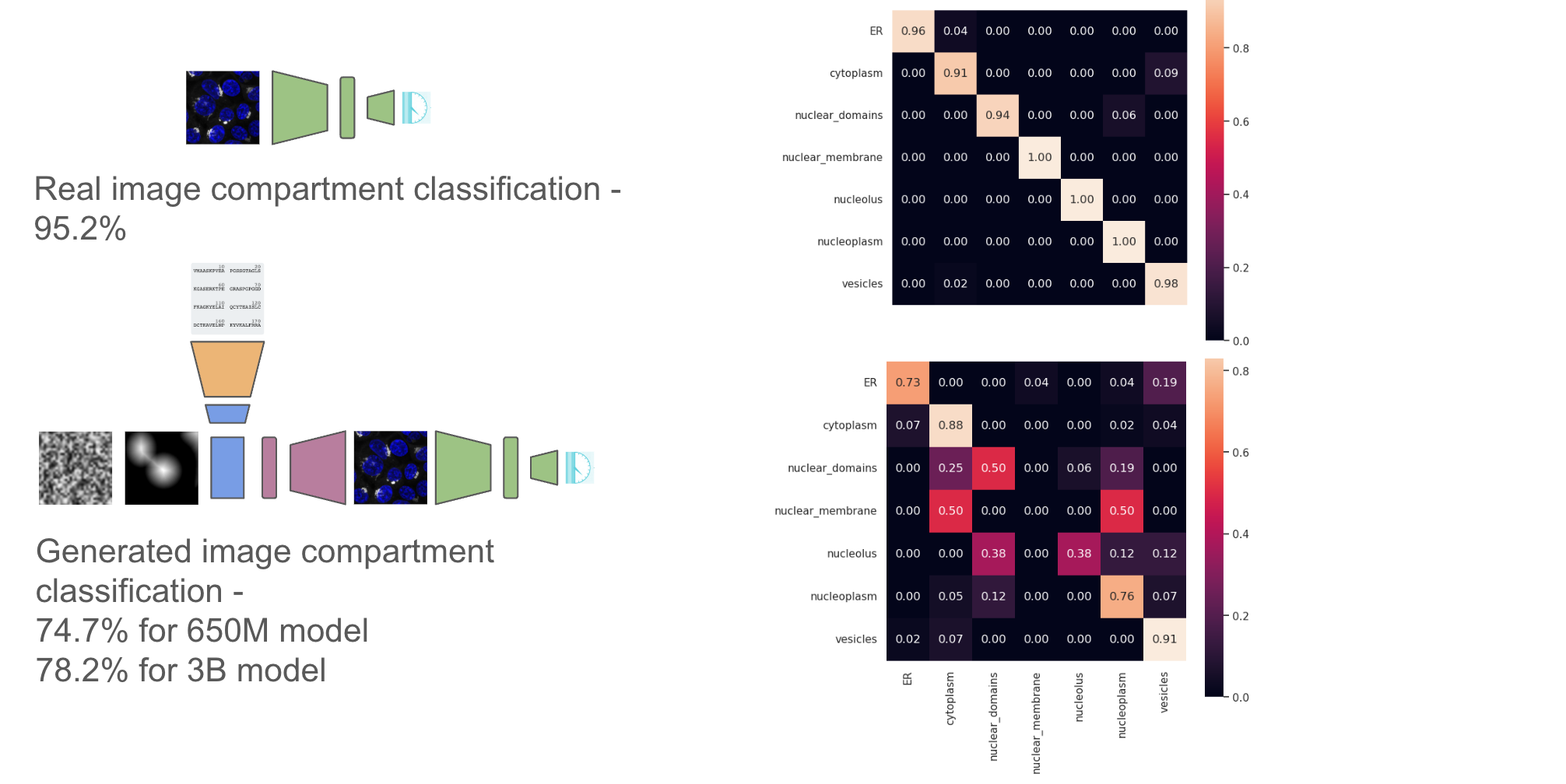 Compartment classifications