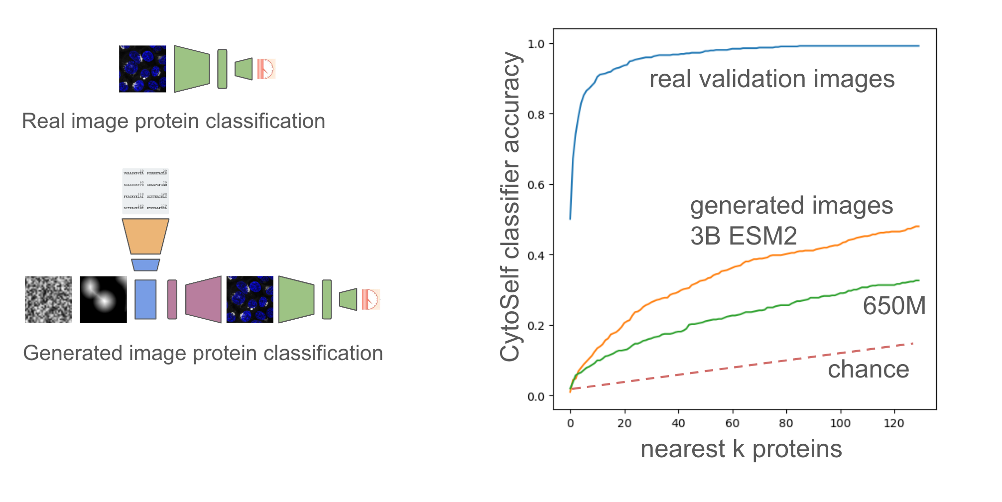 Image classifications