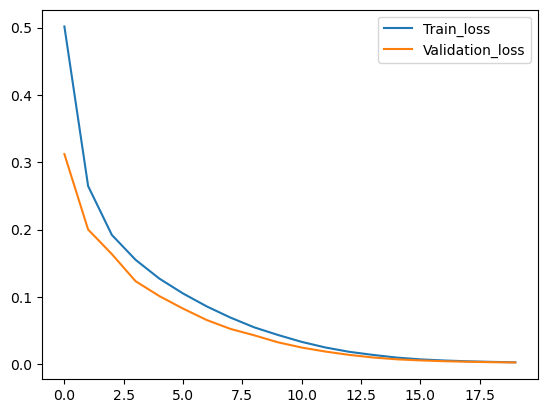 Training and Validation Accuracy