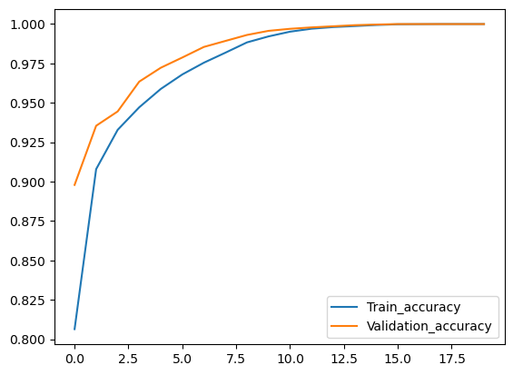 Training and Validation Loss