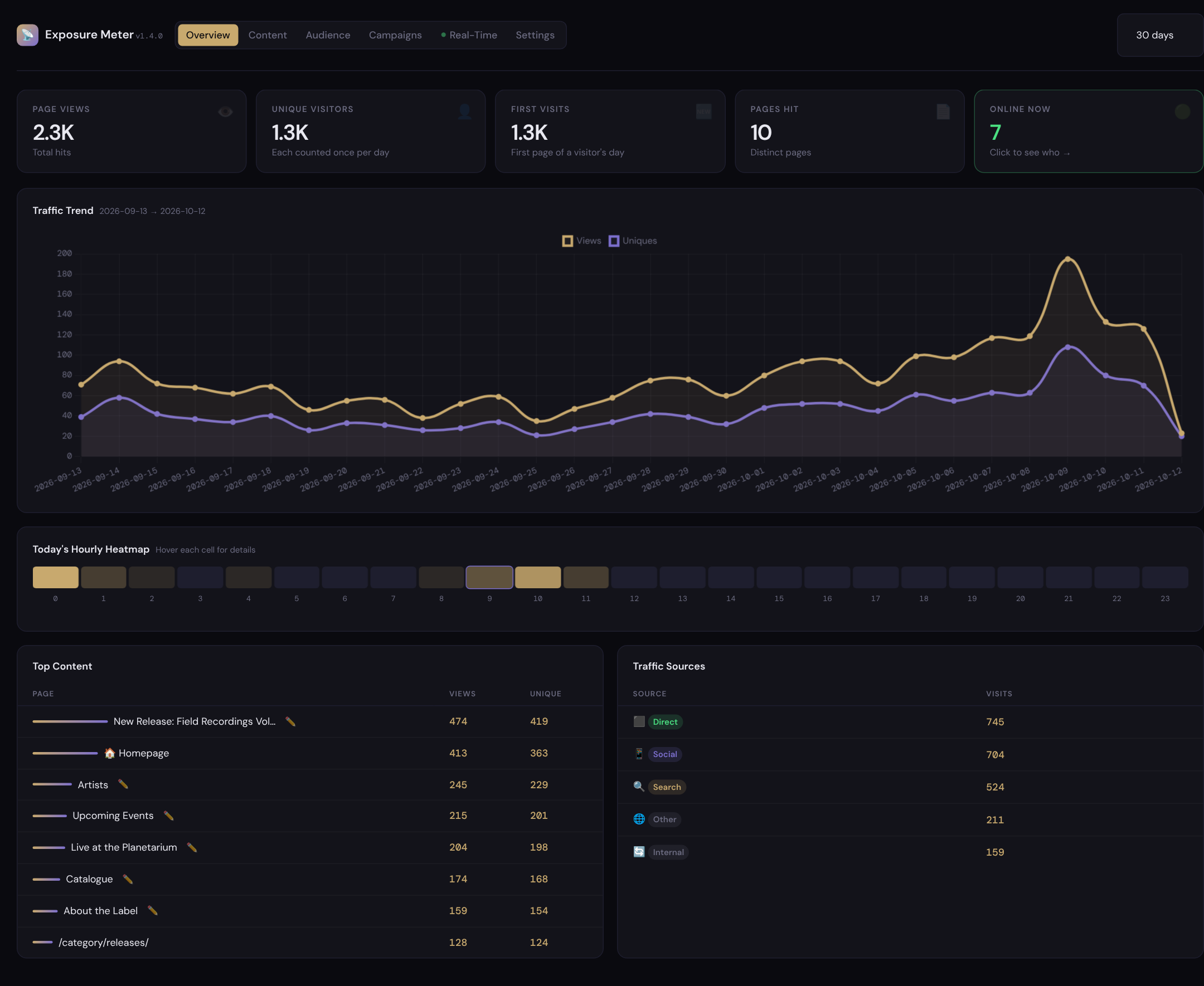 Overview: page views, visitors, 30-day trend, today's hours, top content and traffic sources