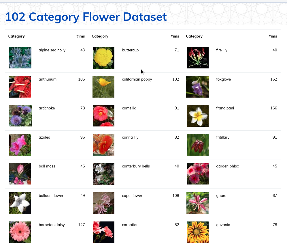 Oxford flower dataset