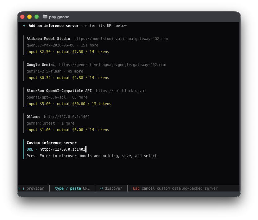 Add a custom inference server in Pay's provider picker