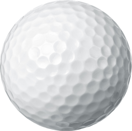 Royal Rhino Golf Club token-(-RHINO-)-token-logo