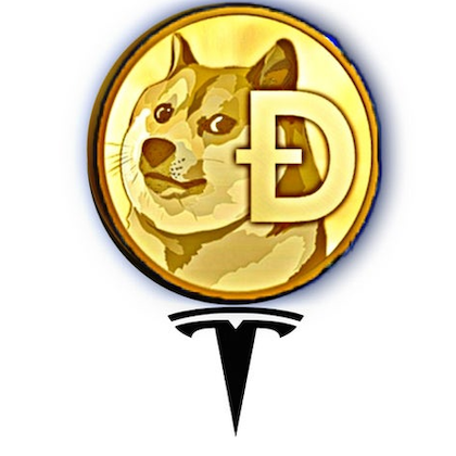 DogeTesla-(-DOGExTESLA-)-token-logo