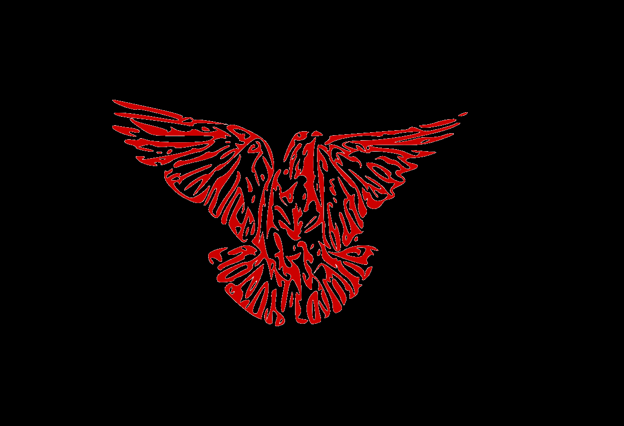 PigeonSol Token-(-PGNT-)-token-logo