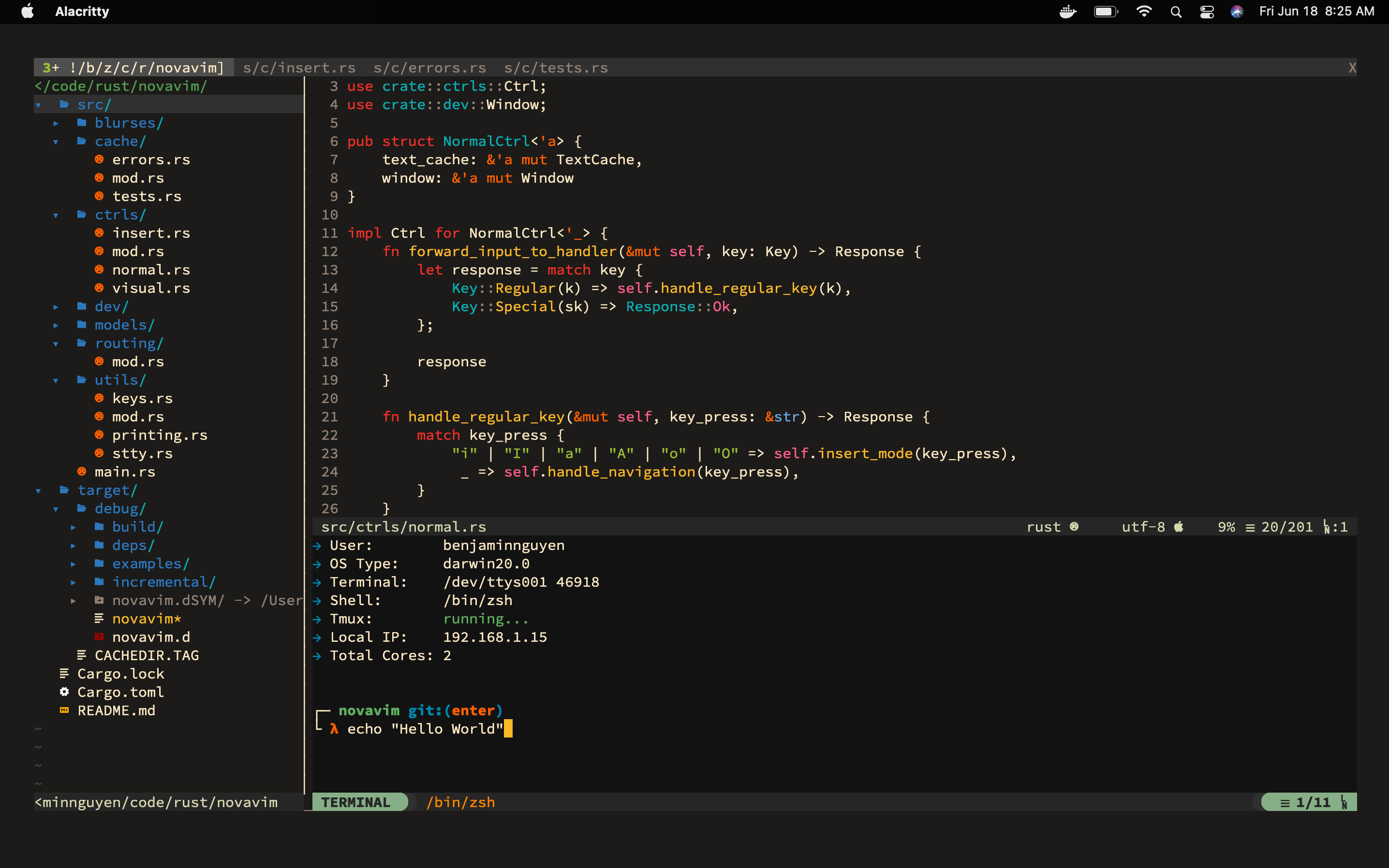 Ayu Dark + Rust + Nvim : rvimporn