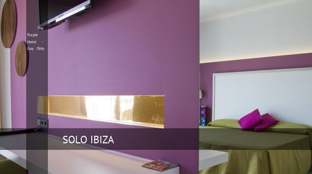 The Purple Hotel - Gay Only barato