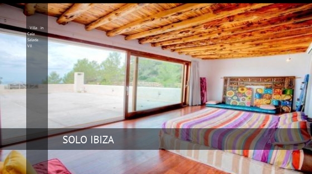 Villa in Cala Salada VII booking