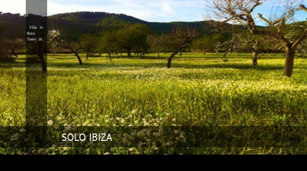 Villa in Ibiza Town IX booking