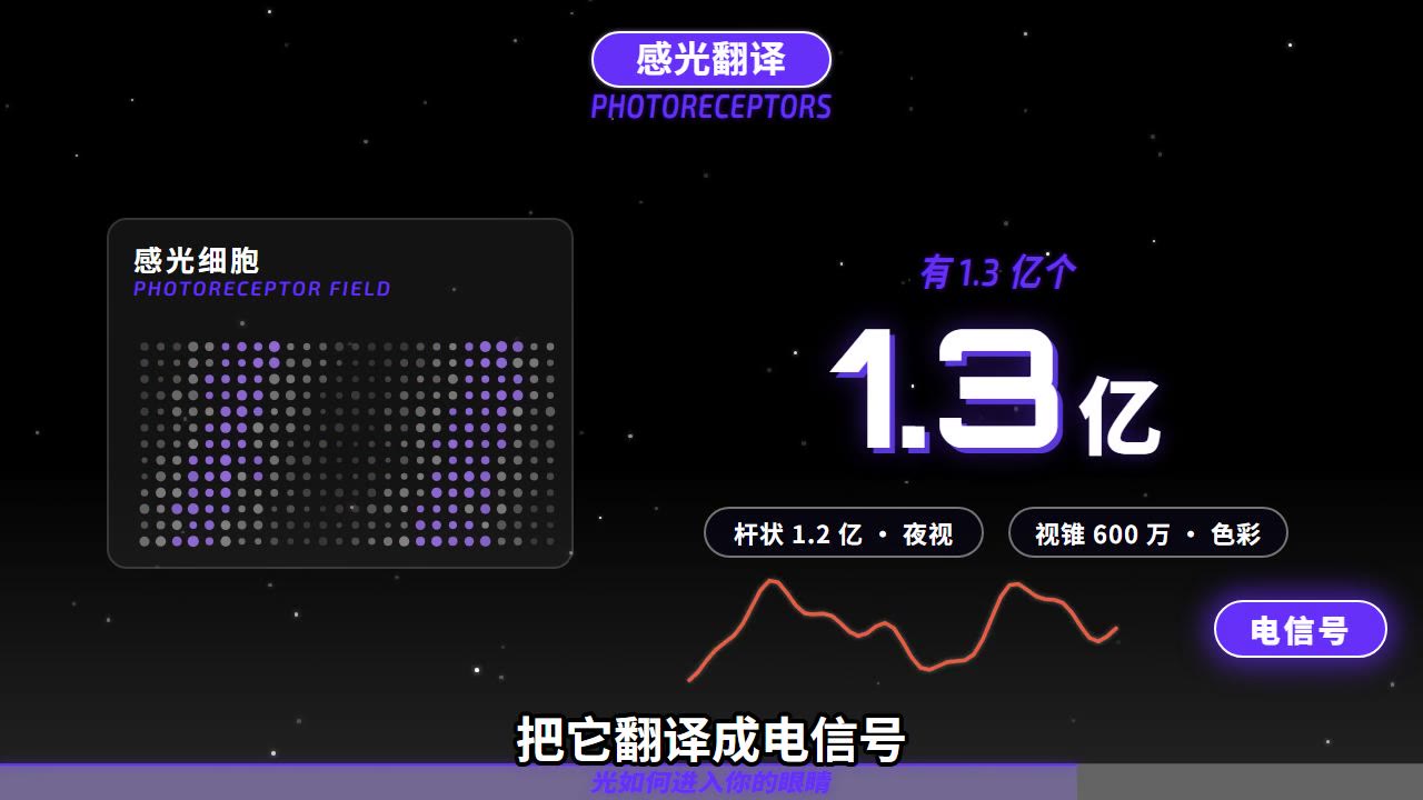 夜航风格样片