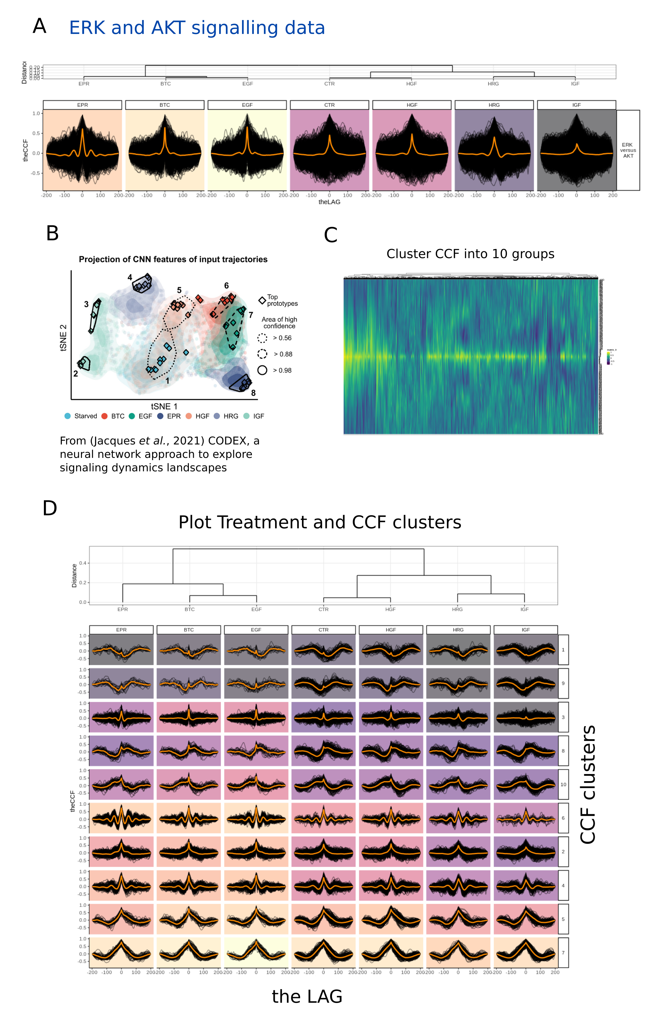 Fig ERK and AKT data mining: CCF from data measuring AKT and ERK