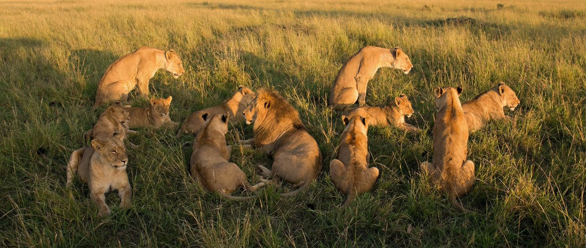 Từ ẩn trong ảnh