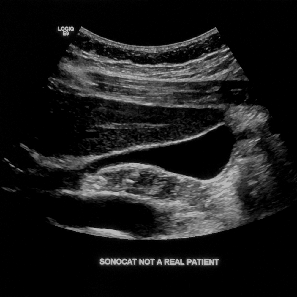 SonoCat - Practical Guide to General Sonography