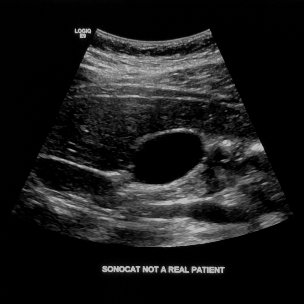 SonoCat - Practical Guide to General Sonography