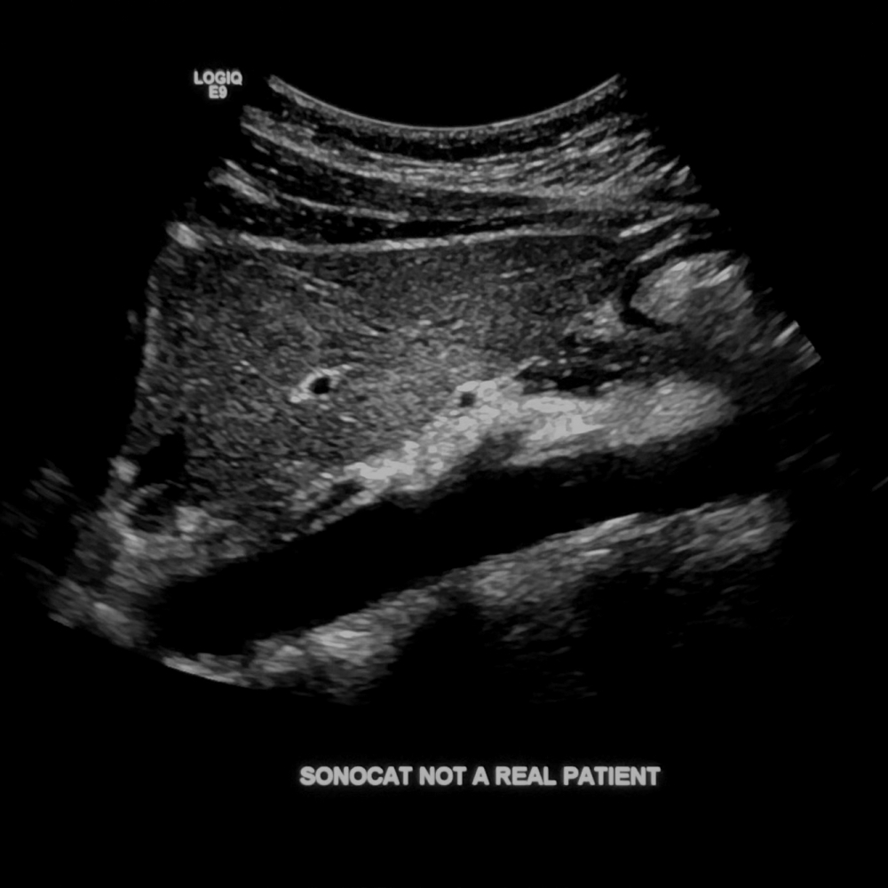 SonoCat - Practical Guide to General Sonography