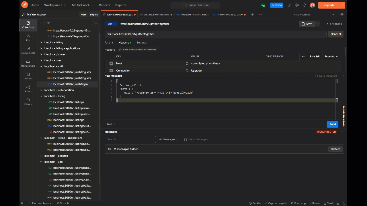 this is how an connection to the websocket is used